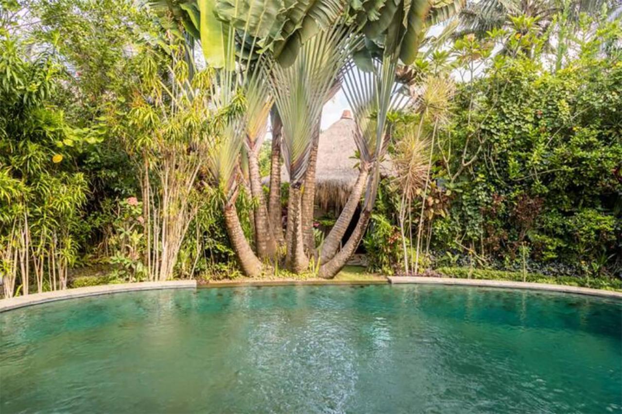 Rumah Semanggi Ubud Exterior foto