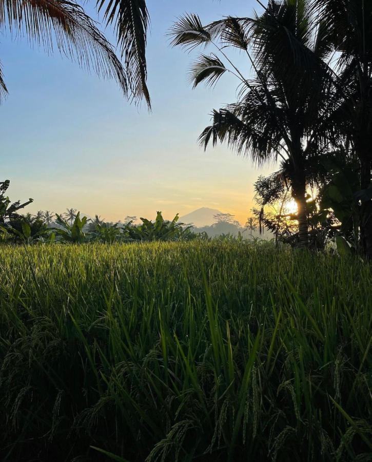 Rumah Semanggi Ubud Exterior foto